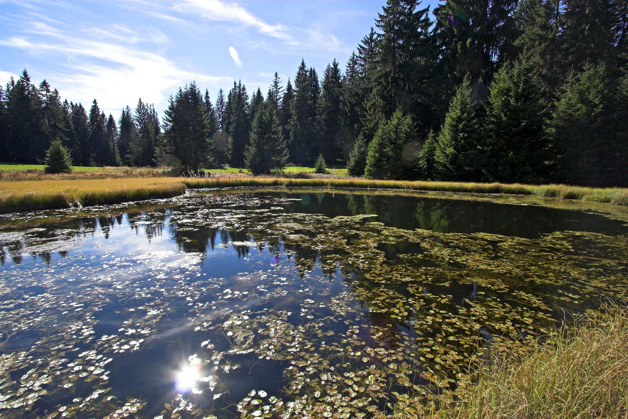 Daićko jezero