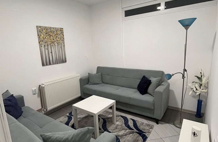 Apartman_ANĐELA_Z.Perišić_Ivanjica_2